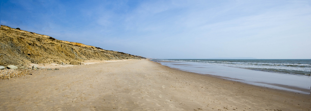 Why Is Sediment Deposited In Coastal Areas